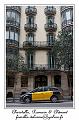 IMG_1299_RD