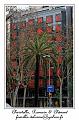 IMG_1308_RD