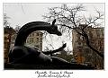 IMG_1322_RD