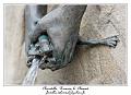 IMG_1329_RD