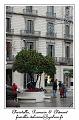 IMG_1358_RD