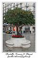IMG_1361_RD