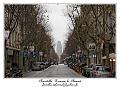 IMG_1375_RD