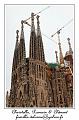 IMG_1669_RD
