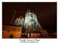 IMG_1684_RD