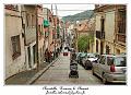 IMG_1567_RD