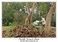 IMG_1570_RD