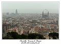 IMG_1577_RD