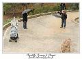 IMG_1578_RD