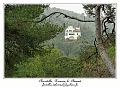 IMG_1579_RD