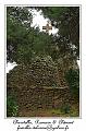 IMG_1580_RD