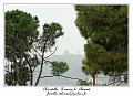 IMG_1584_RD