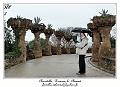 IMG_1591_RD