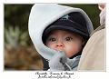 IMG_1593_RD