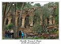 IMG_1603_RD