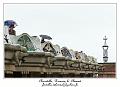 IMG_1631_RD