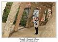 IMG_1638_RD