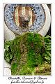 IMG_1641_RD