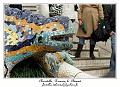 IMG_1644_RD
