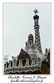 IMG_1658_RD