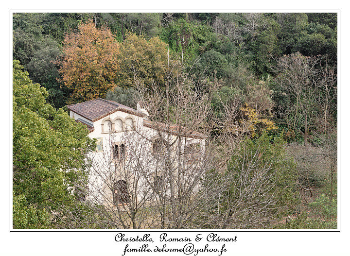 IMG_1772_RD.jpg