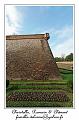 IMG_1729_RD