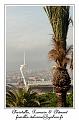 IMG_1740_RD