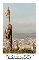 IMG_1741_RD