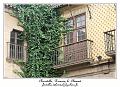 IMG_1787_RD