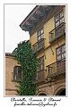 IMG_1789_RD