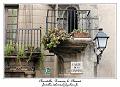 IMG_1795_RD