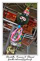 IMG_1807_RD