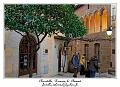 IMG_1823_RD