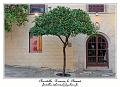 IMG_1824_RD