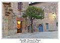 IMG_1841_RD