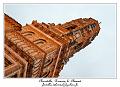 IMG_1849_RD