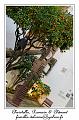 IMG_1853_RD