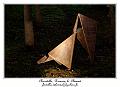 IMG_1876_RD
