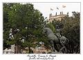 IMG_1381_RD