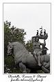 IMG_1383_RD