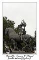 IMG_1384_RD