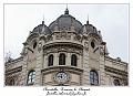 IMG_1391_RD