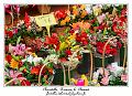 IMG_1410_RD