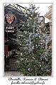 IMG_1412_RD