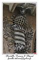 IMG_1435_RD