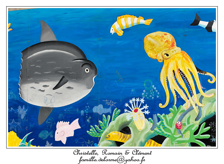 IMG_1473_RD.jpg - Un poisson Lune !