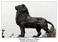 IMG_1457_RD