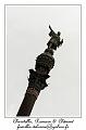 IMG_1461_RD