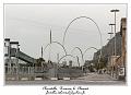 IMG_1462_RD