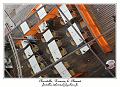 IMG_1471_RD